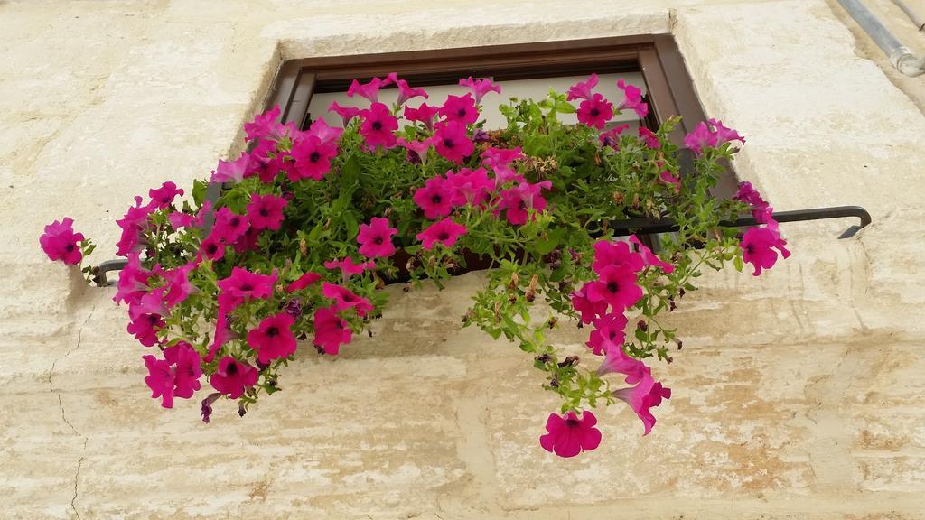 Ferienwohnung Borgo Antico Monopoli Exterior foto